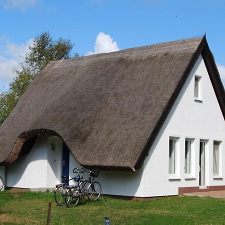 Doppelhaushälfte in Vitte auf Hiddensee Exterior foto