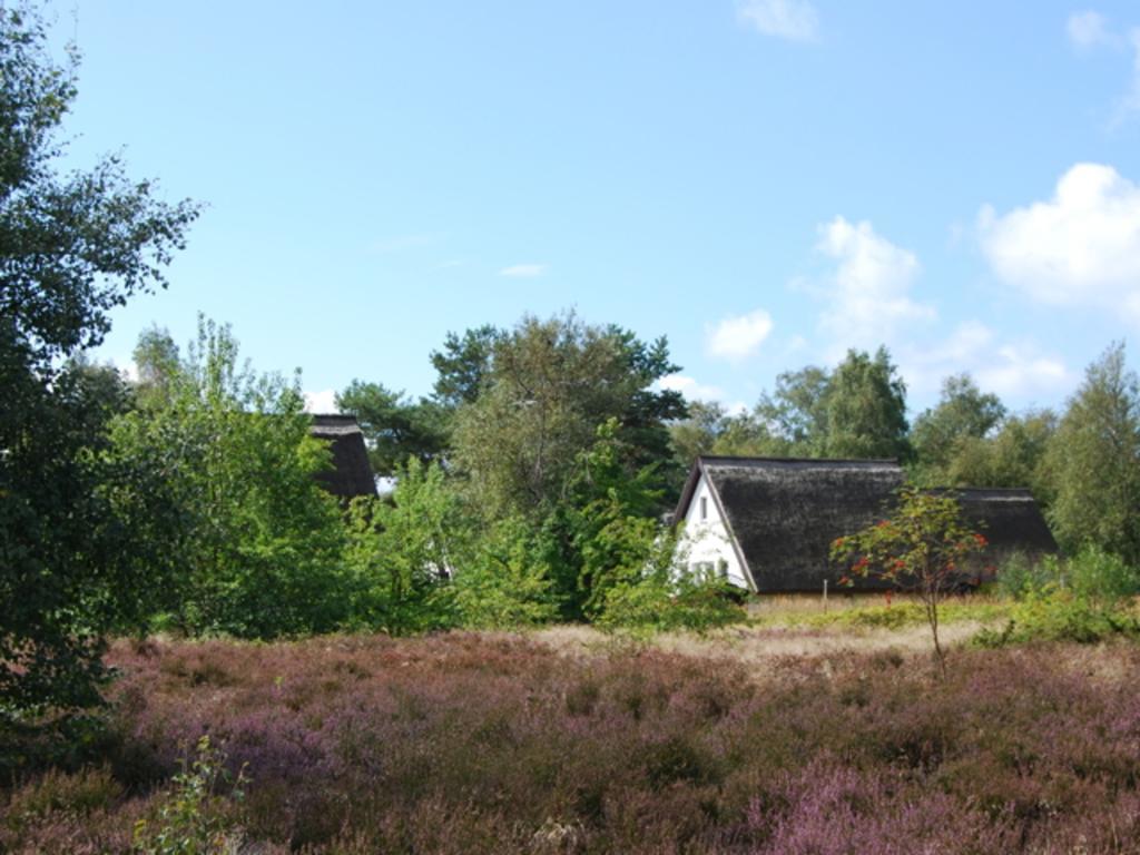 Doppelhaushälfte in Vitte auf Hiddensee Exterior foto